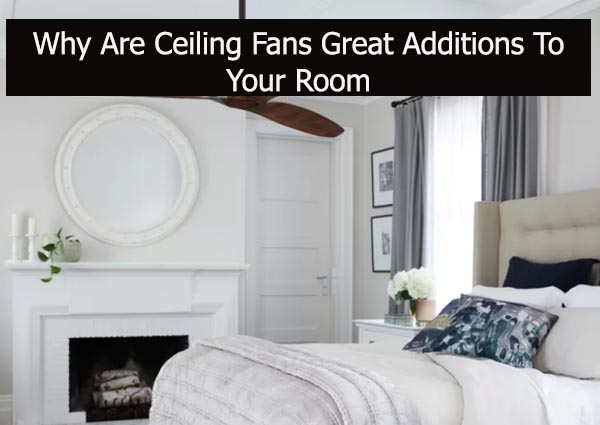 Why Are Ceiling Fans Great Additions To Your Room?
